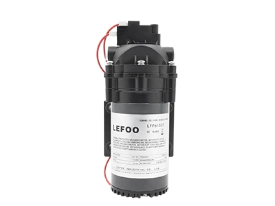 230VAC Demand Delivery Pump - 翻译中...