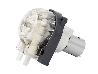 Pompa peristaltica con motore DC LFP303/DB (Intervallo di portata: 35-280 ml/min)
