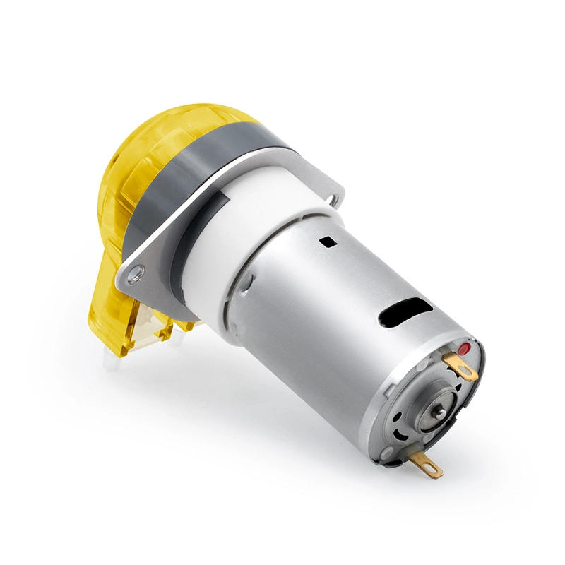 Pompa peristaltica con motore DC LFP102/DB (Gamma di portata: 9-110 ml/min)