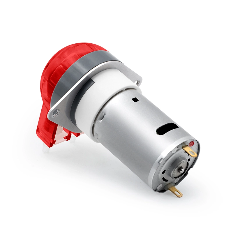 Pompa peristaltica con motore DC LFP102/DB (Gamma di portata: 9-110 ml/min)